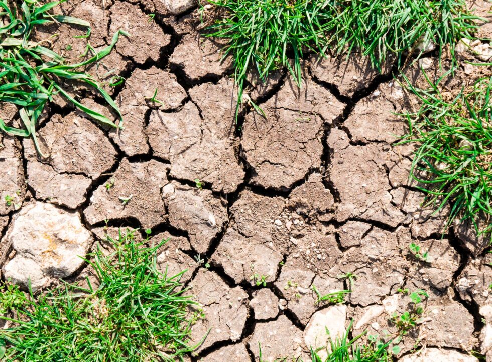 Emergenza idrica, irrigazione indispensabile. Aumento di costi per la gestione degli impianti